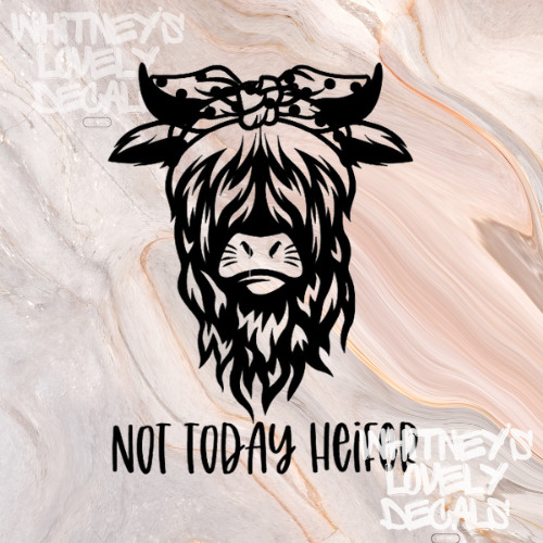 Not Today Heifer image 0