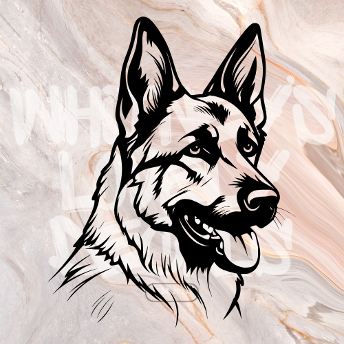 German Shepherd