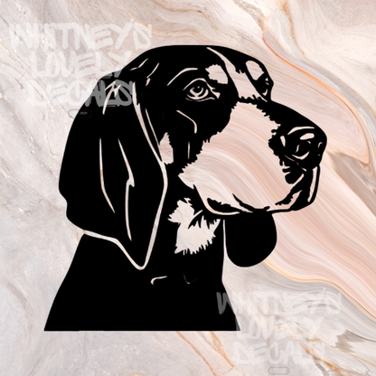 Coon Hound image 0